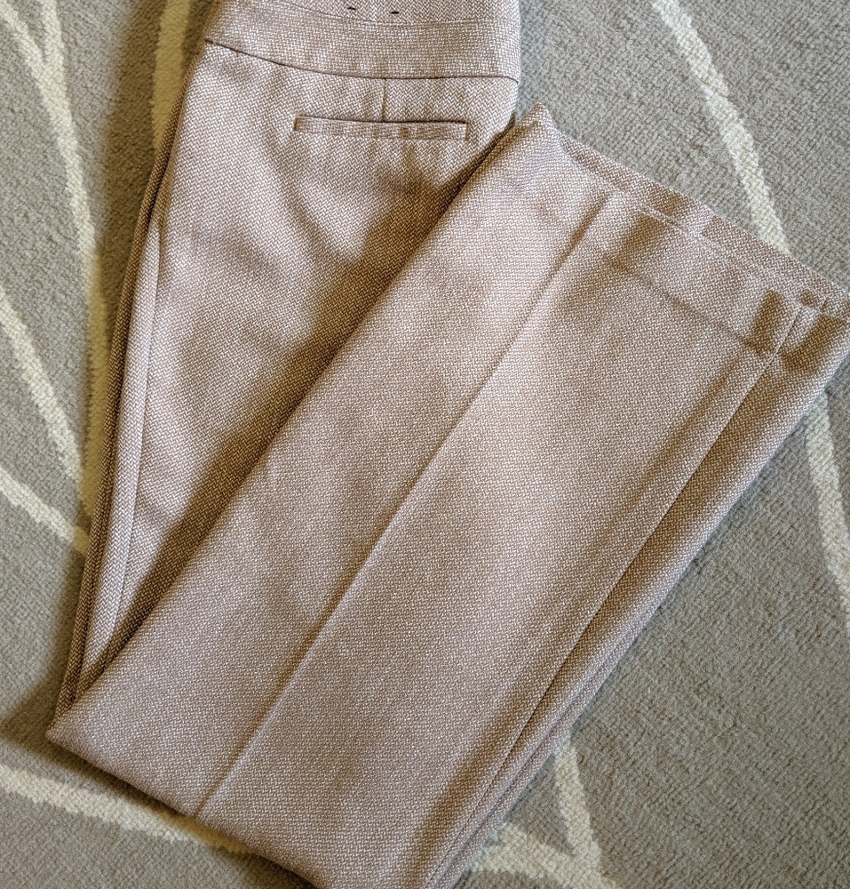 Express - Editors Pants - 10 Regular